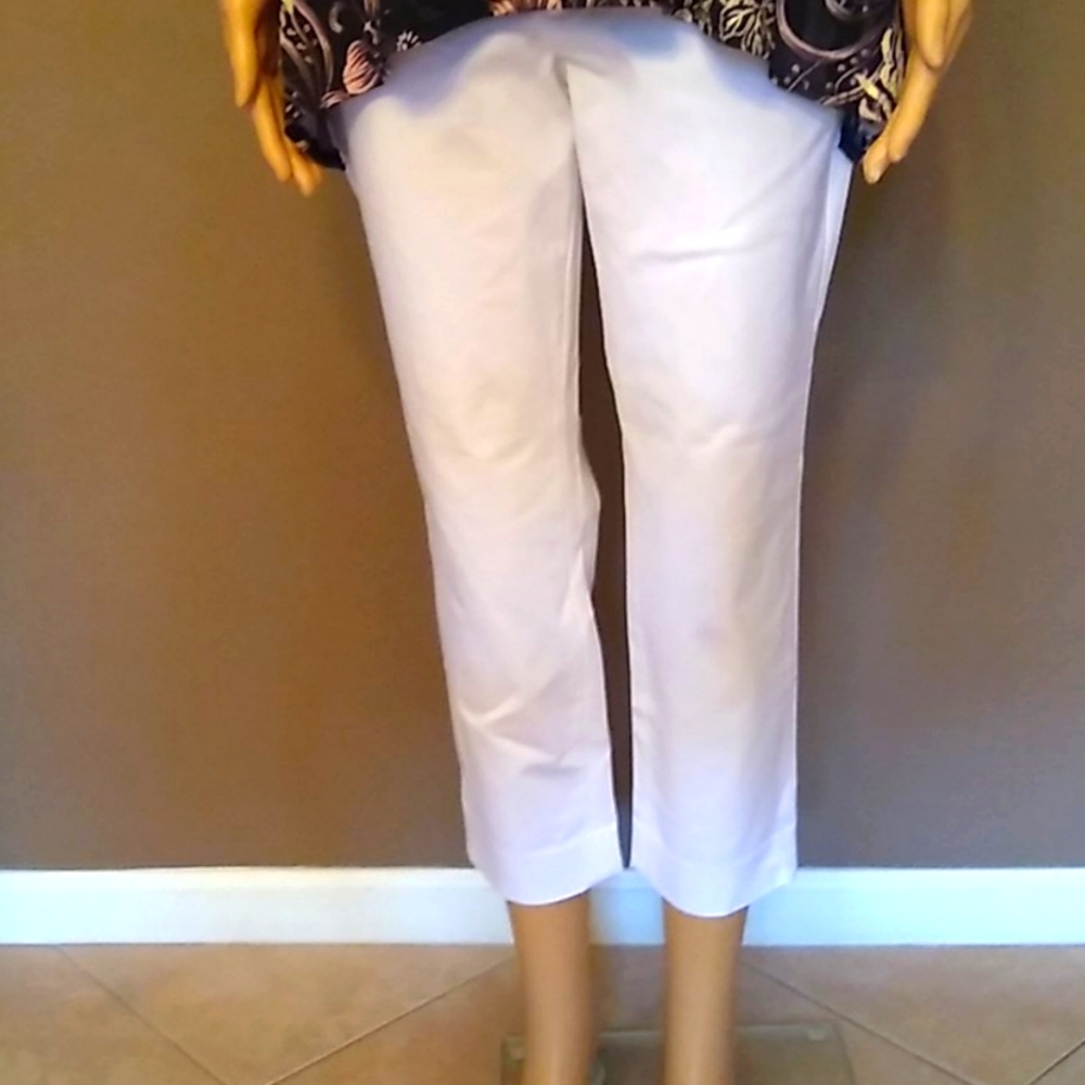 NWT Banana Republic Sloan Crop pants